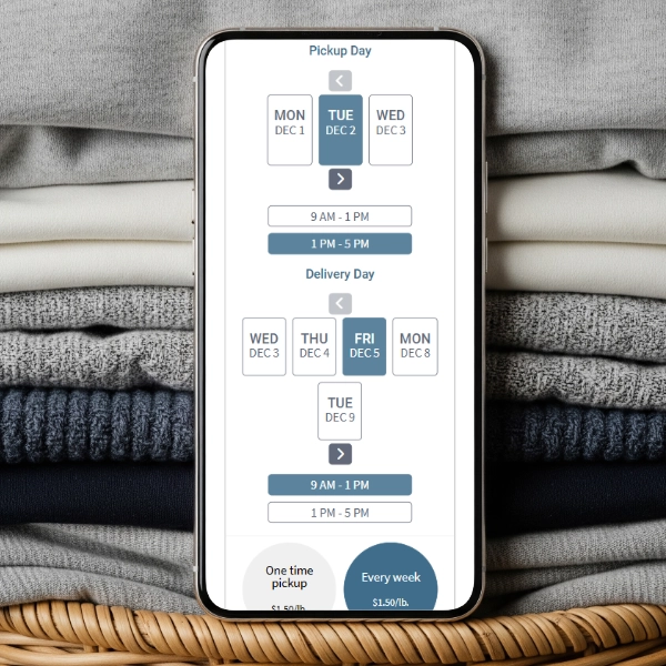 Nest Laundry CP Step 001